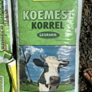 Koemest korrel