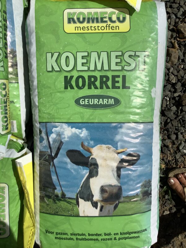Koemest korrel