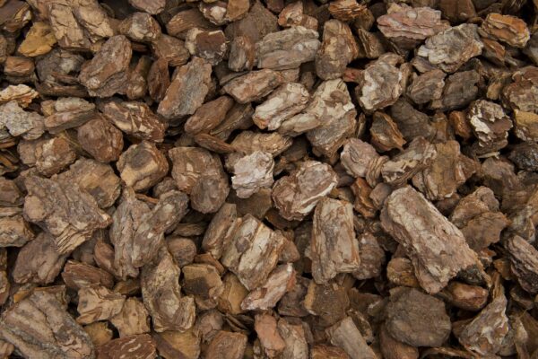 Bark nuggets mini