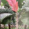 Flame Thrower p/mtr