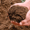 Compost Aarde per Kuub