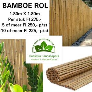Bamboe scherm 1.8x1.8
